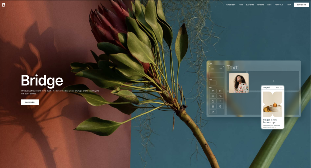 Bridge_Premium & Feature-rich WordPress Themes